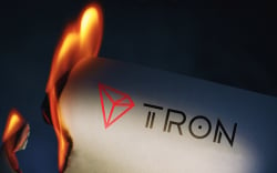  Justin Sun, It’s Time to Burn Tron (TRX): BeatzCoin CCO